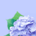 item-5