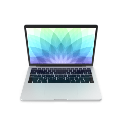 Premium Laptop Demo Mock-up - Silver