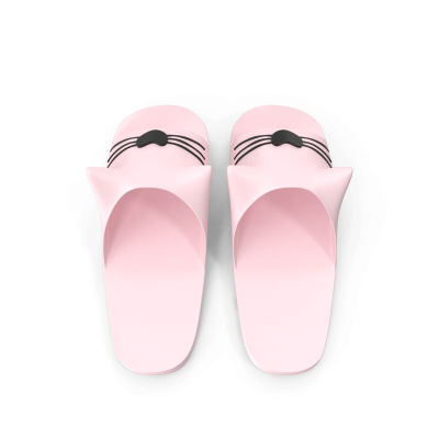 Cat Slippers