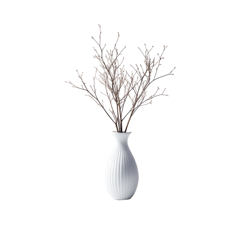 Desk Plant 02