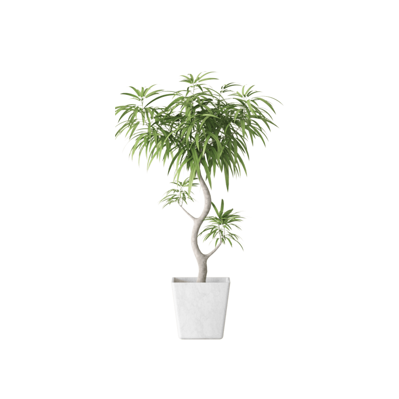 Plant Decor 06