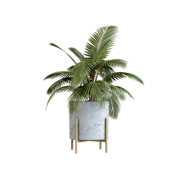 Plant Decor 09