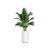 Decoración con plantas